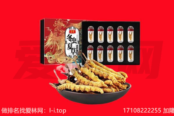 九江湖口县回收虫草.jpg